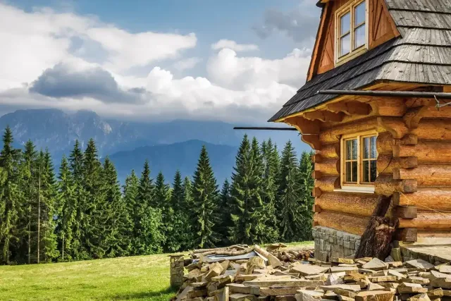 Best Flooring for Humid Climates That Won’t Warp